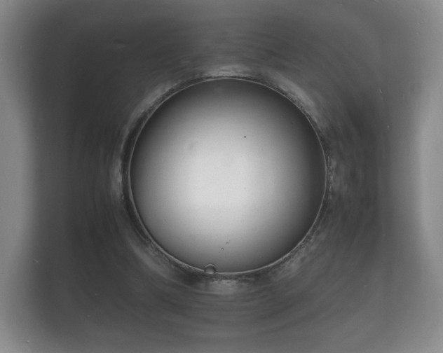 X0000112150298200908141220