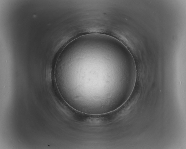 X0000112150299200908141220