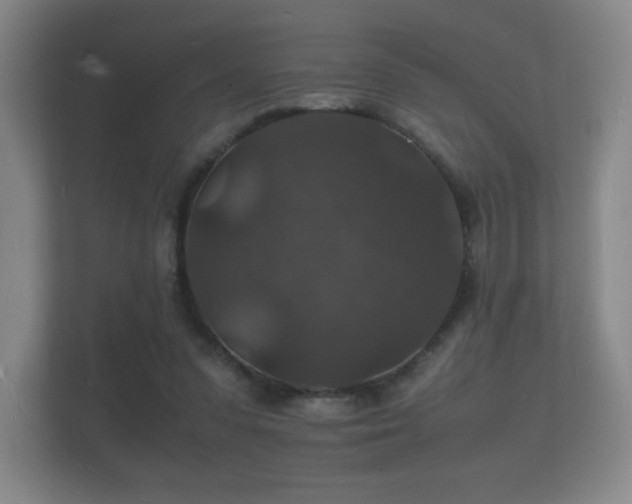 X0000112150303200908141220