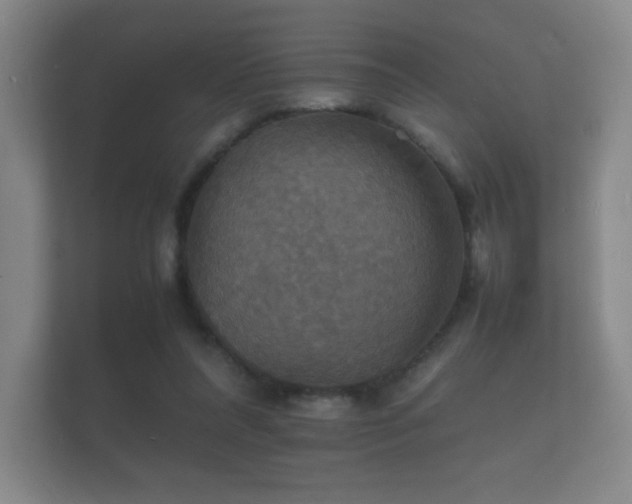 X0000112150304200908141220