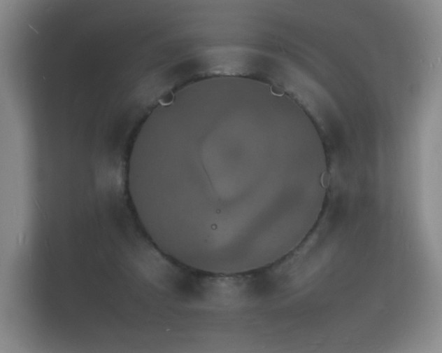 X0000112150305200908141220