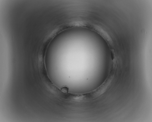 X0000112150306200908141220