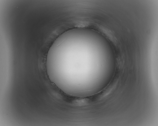 X0000112150307200908141220