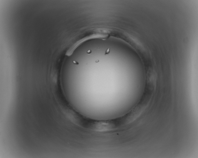 X0000112150315200908141220