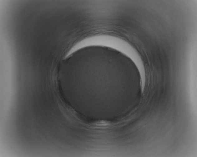 X0000112150316200908141220