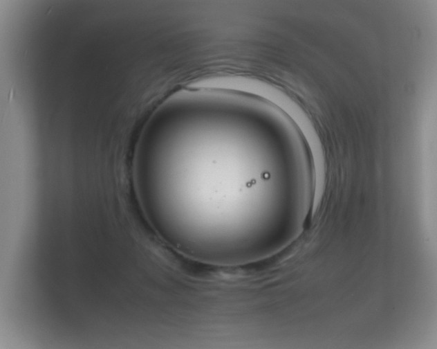 X0000112150317200908141220