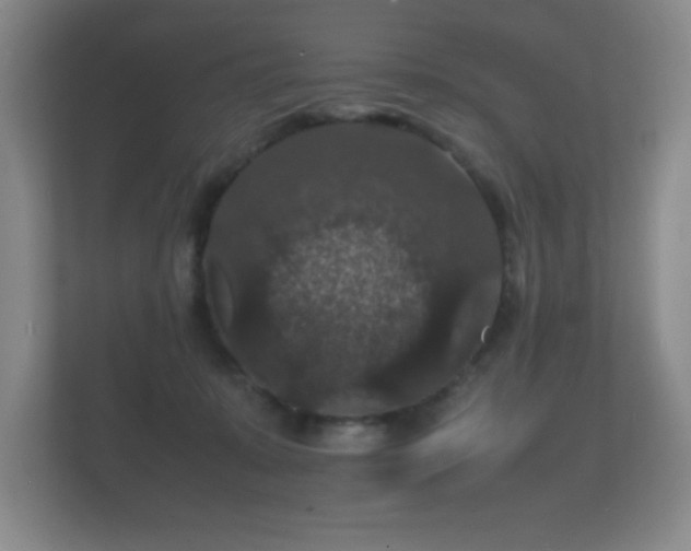 X0000112150319200908141220