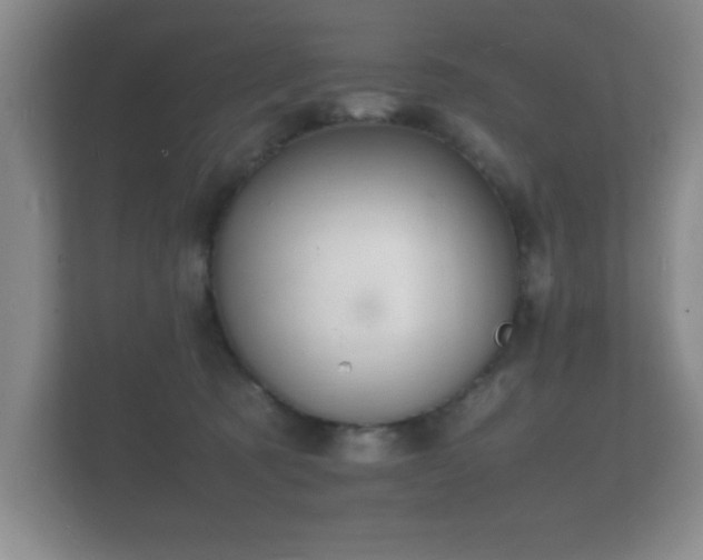 X0000112150321200908141219
