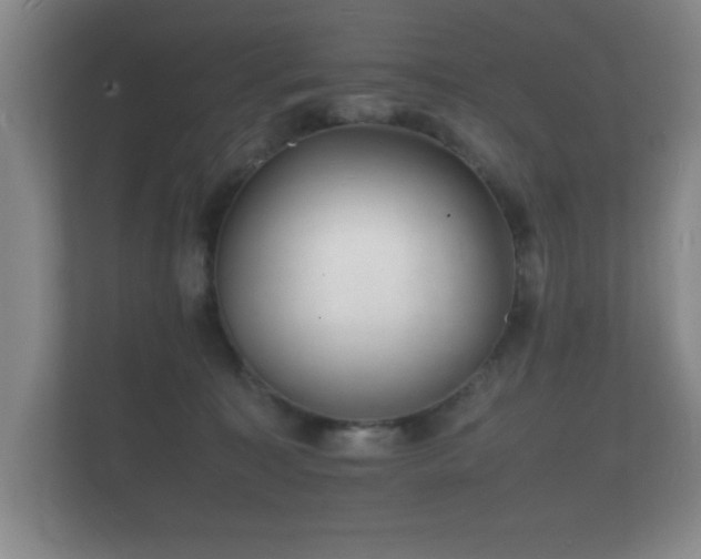 X0000112150323200908141219