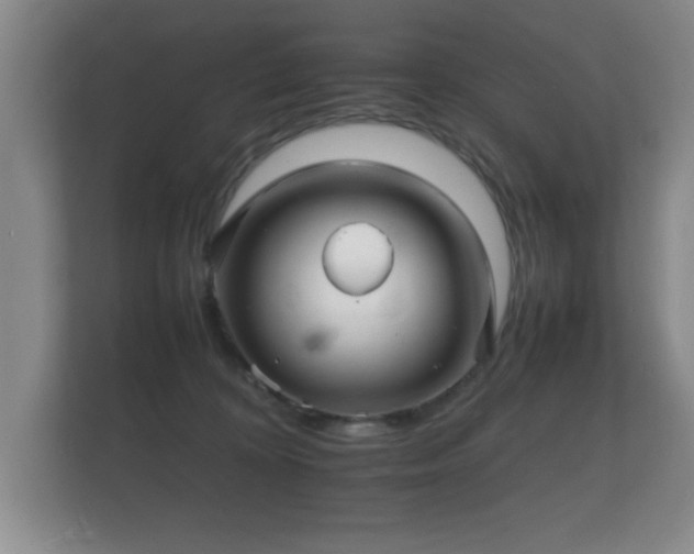 X0000112150324200908141219