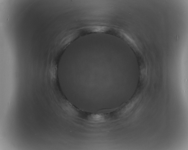 X0000112150325200908141219