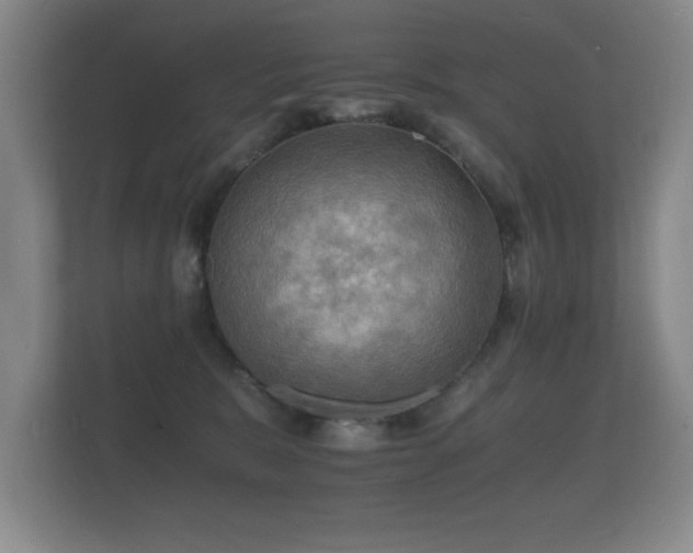 X0000112150327200908141219