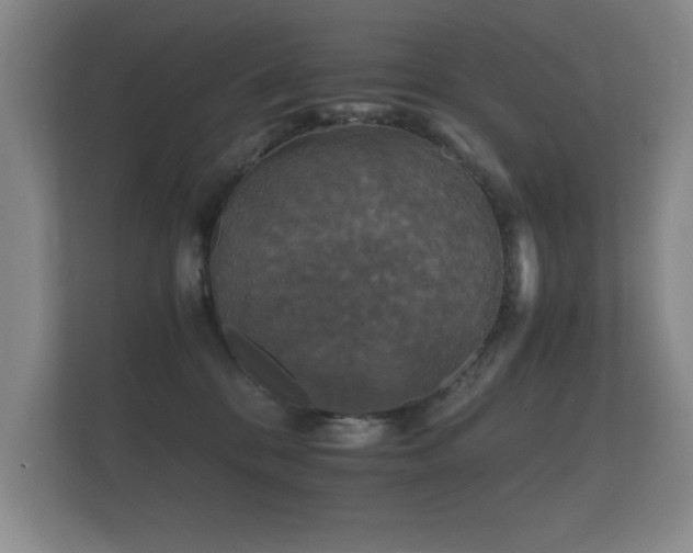 X0000112150328200908141219