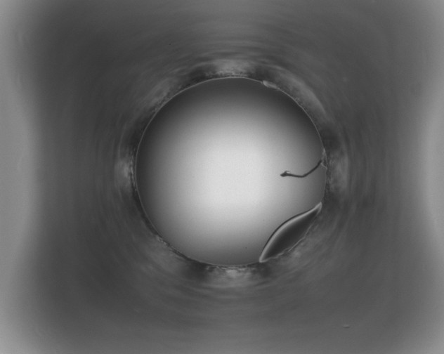 X0000112150329200908141219