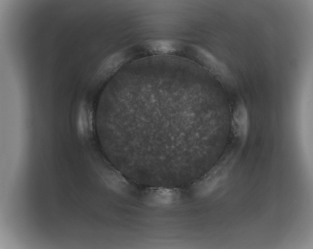 X0000112150330200908141219