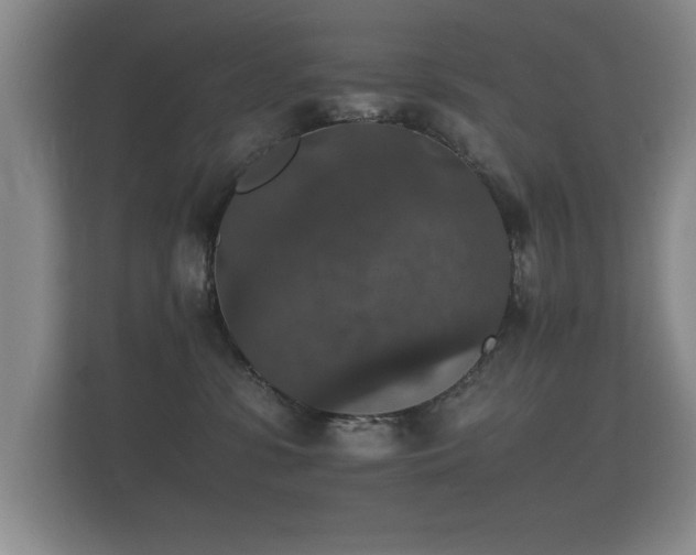 X0000112150331200908141219