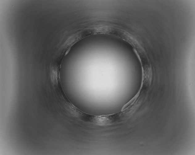 X0000112150333200908141219
