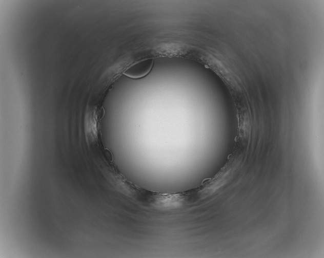 X0000112150334200908141219
