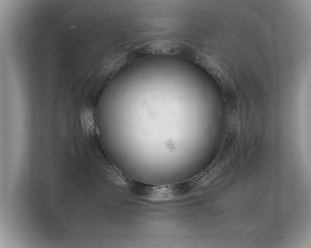 X0000112150335200908141219