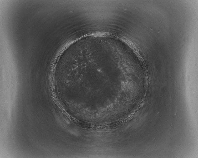 X0000112150337200908141219