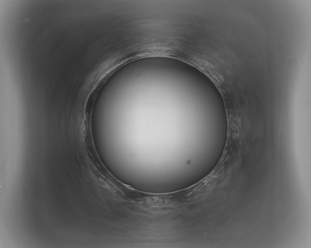 X0000112150338200908141219