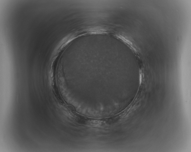 X0000112150339200908141219