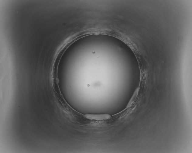 X0000112150340200908141219