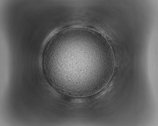 X0000112150341200908141219