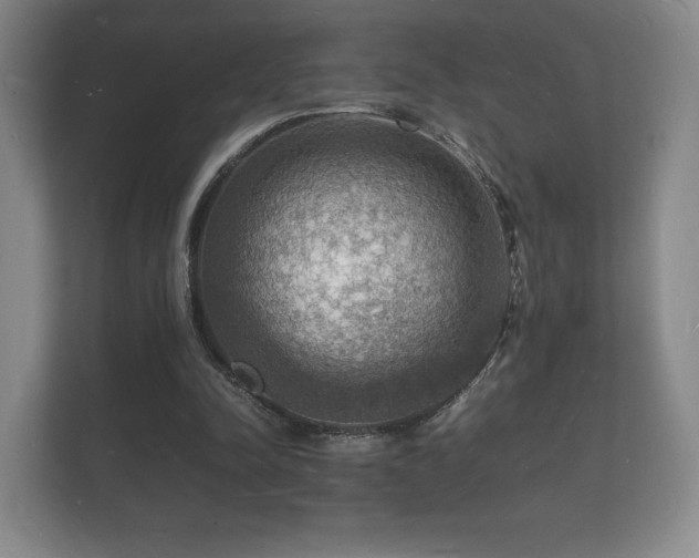 X0000112150342200908141219