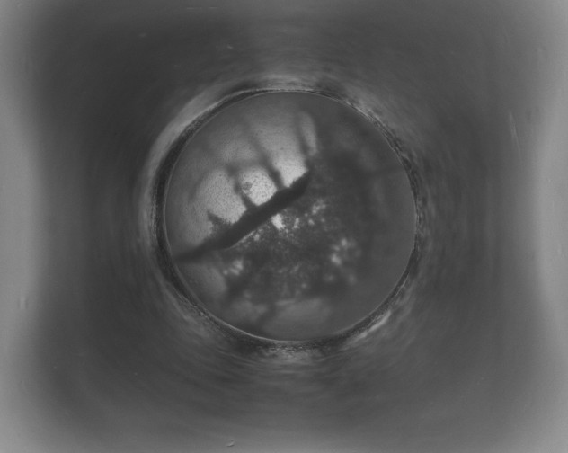 X0000112150343200908141219