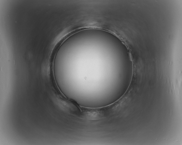 X0000112150344200908141219