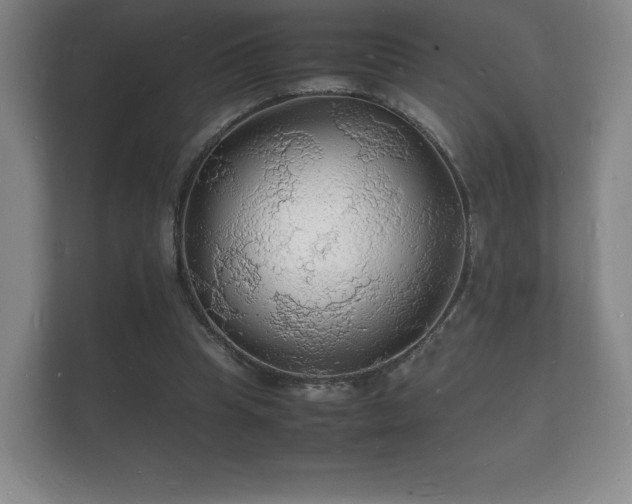X0000112150345200908141219