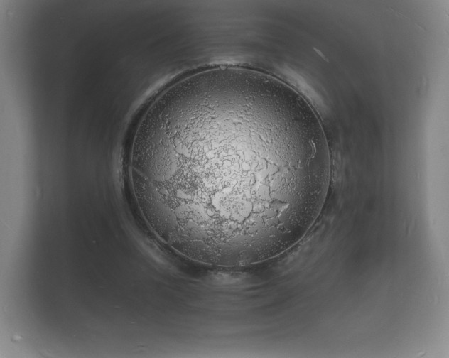 X0000112150346200908141219
