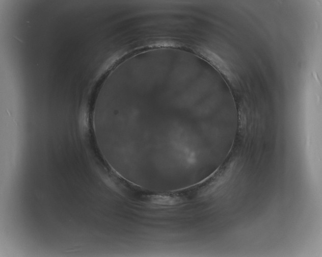 X0000112150347200908141219
