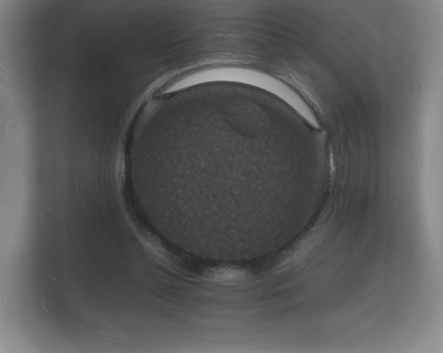 X0000112150348200908141219