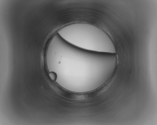X0000112150349200908141219