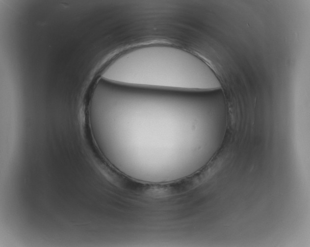 X0000112150350200908141219