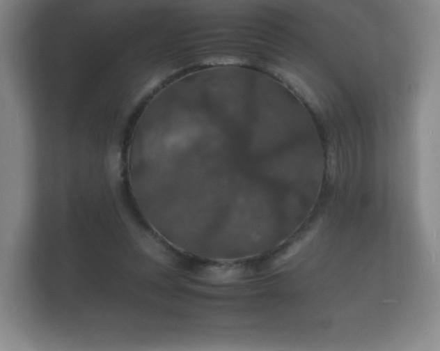 X0000112150351200908141219