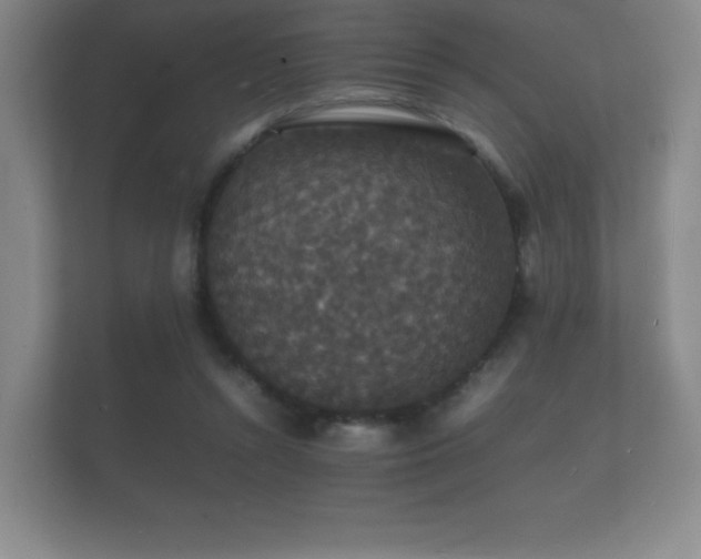 X0000112150352200908141219