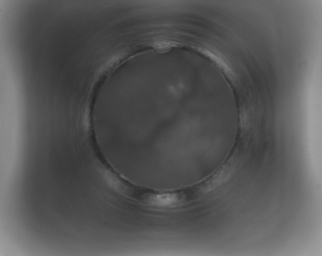 X0000112150353200908141219