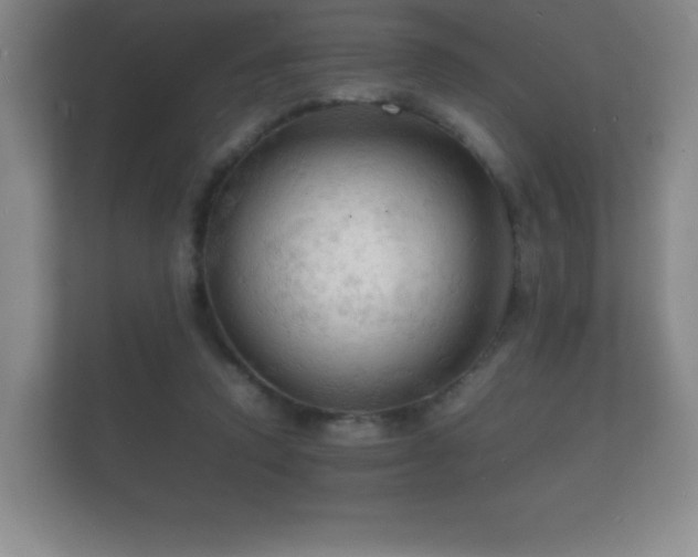 X0000112150354200908141219