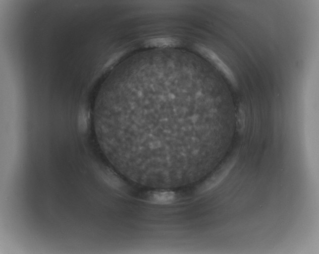 X0000112150355200908141219