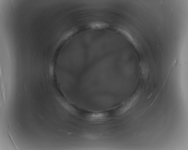 X0000112150357200908141219