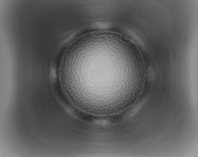 X0000112150358200908141219
