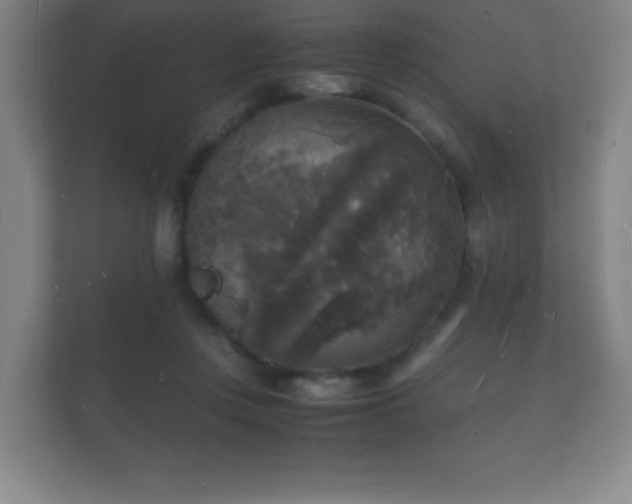 X0000112150359200908141219