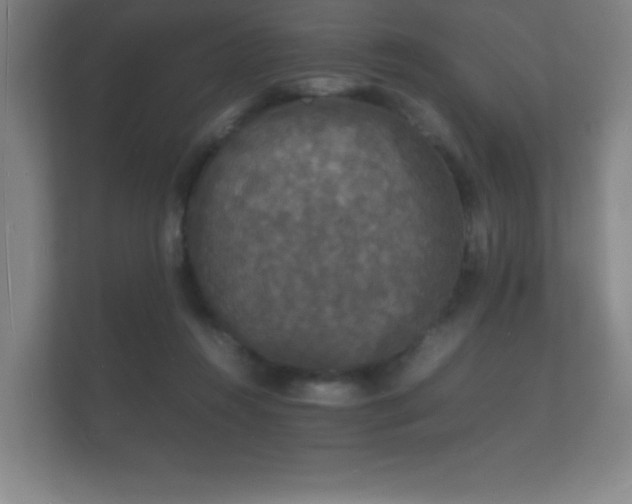 X0000112150360200908141219