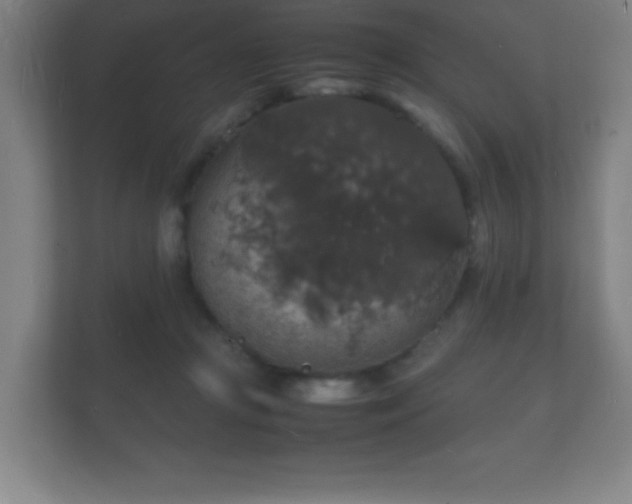 X0000112150361200908141219