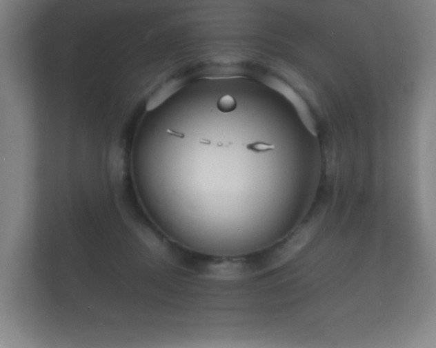 X0000112150362200908141219