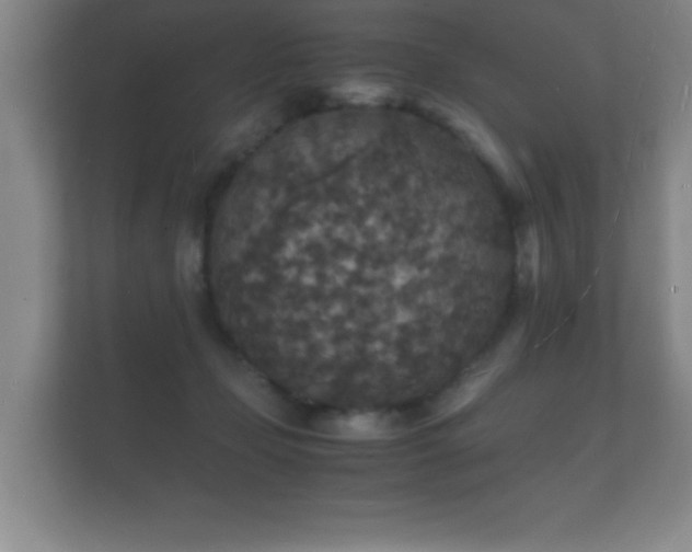 X0000112150365200908141219