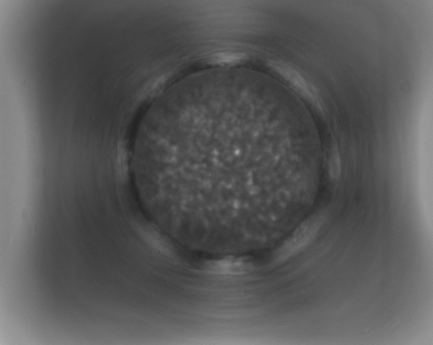 X0000112150366200908141219